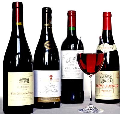 The World of Wine: An Insider's Guide